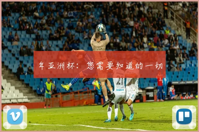 年亚洲杯：您需要知道的一切