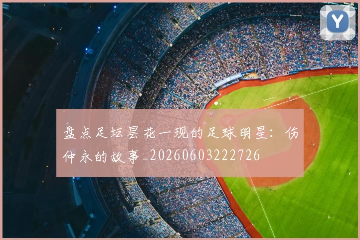 盘点足坛昙花一现的足球明星：伤仲永的故事_20260603222726