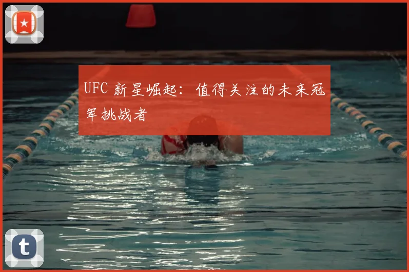 UFC 新星崛起：值得关注的未来冠军挑战者