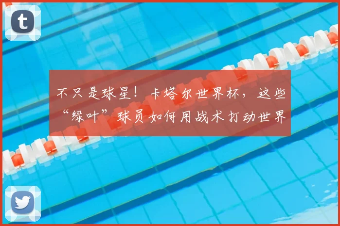 不只是球星！卡塔尔世界杯，这些“绿叶”球员如何用战术打动世界_20260702173327
