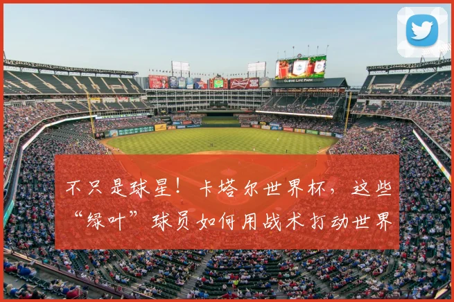 不只是球星！卡塔尔世界杯，这些“绿叶”球员如何用战术打动世界_20260702173327