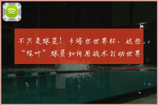 不只是球星!卡塔尔世界杯,这些“绿叶”球员如何用战术打动世界