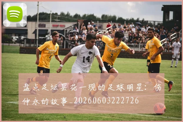 盘点足坛昙花一现的足球明星:伤仲永的故事_20260603222726